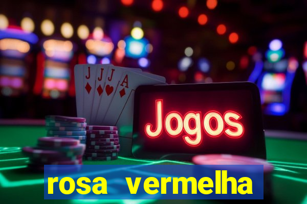 rosa vermelha (letra e cifra)